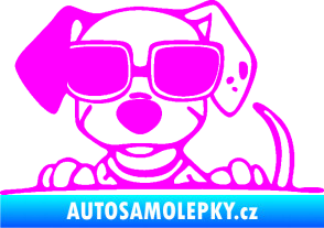 Samolepka Pes s brýlemi 101 levá v autě Fluorescentní růžová