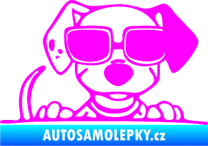 Samolepka Pes s brýlemi 101 pravá v autě Fluorescentní růžová
