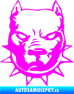 Samolepka Pitbull hlava 002 pravá Fluorescentní růžová