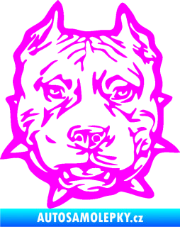 Samolepka Pitbull hlava 003 pravá Fluorescentní růžová