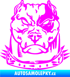 Samolepka Pitbull hlava 005 levá Fluorescentní růžová