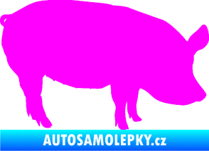 Samolepka Prase 001 pravá Fluorescentní růžová