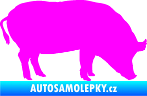 Samolepka Prase 004 pravá Fluorescentní růžová
