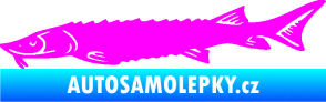 Samolepka Ryba 020 levá jeseter Fluorescentní růžová