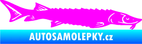 Samolepka Ryba 020 pravá jeseter Fluorescentní růžová