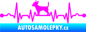 Samolepka Srdeční tep 006 levá čivava Fluorescentní růžová