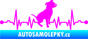 Samolepka Srdeční tep 007 pravá pitbull Fluorescentní růžová
