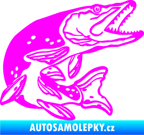Samolepka Štika 002 pravá Fluorescentní růžová