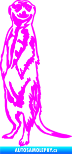 Samolepka Surikata 001 levá Fluorescentní růžová