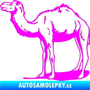 Samolepka Velbloud 001 levá Fluorescentní růžová