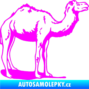 Samolepka Velbloud 001 pravá Fluorescentní růžová