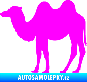 Samolepka Velbloud 003 levá Fluorescentní růžová