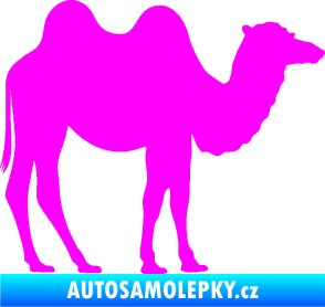 Samolepka Velbloud 003 pravá Fluorescentní růžová