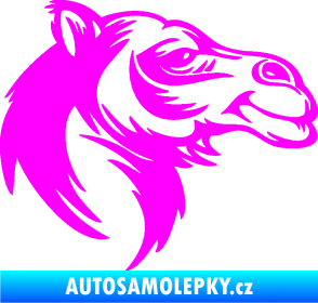 Samolepka Velbloud 004 pravá hlava Fluorescentní růžová