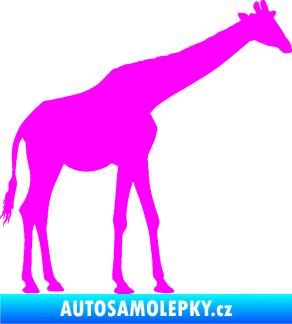 Samolepka Žirafa 002 pravá Fluorescentní růžová