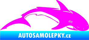 Samolepka Žralok 007 pravá Fluorescentní růžová
