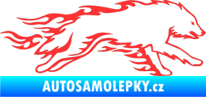 Samolepka Animal flames 032 pravá vlk světle červená