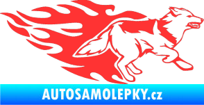 Samolepka Animal flames 090 pravá  vlk světle červená