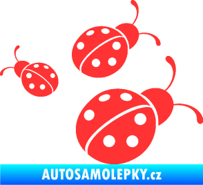 Samolepka Berušky 001 pravá světle červená