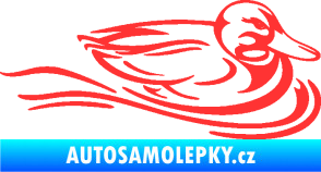 Samolepka Kachna 003 pravá ve vodě světle červená
