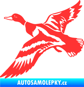 Samolepka Kachna divoká 001 levá kačer světle červená