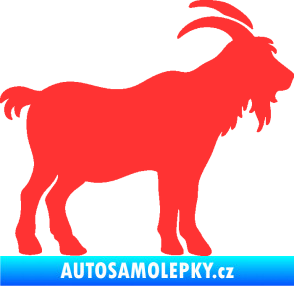 Samolepka Kozel 008 pravá silueta světle červená