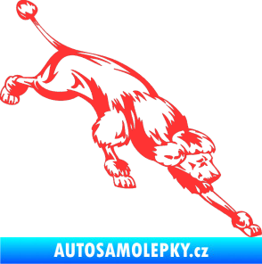 Samolepka Pes 022 pravá Pudl světle červená