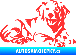 Samolepka Pes 106 pravá Retrívr světle červená