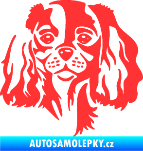 Samolepka Pes 132 pravá Cavalier king Charles spaniel světle červená