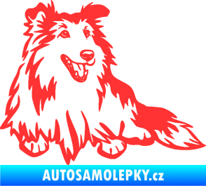 Samolepka Pes 162 pravá sheltie světle červená