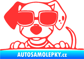 Samolepka Pes s brýlemi 101 levá v autě světle červená