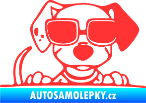 Samolepka Pes s brýlemi 101 pravá v autě světle červená