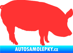 Samolepka Prase 001 pravá světle červená