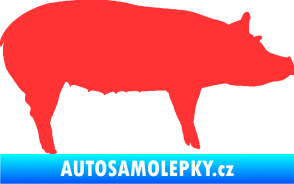 Samolepka Prase 002 pravá světle červená