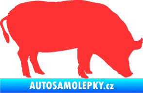 Samolepka Prase 004 pravá světle červená