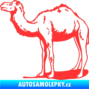 Samolepka Velbloud 001 levá světle červená