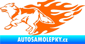 Samolepka Animal flames 090 levá vlk Fluorescentní oranžová