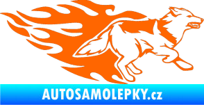 Samolepka Animal flames 090 pravá  vlk Fluorescentní oranžová