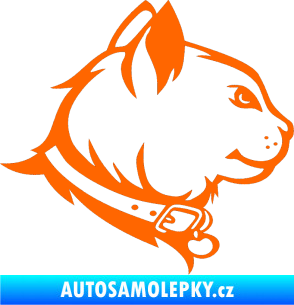 Samolepka Kočka 003 pravá Fluorescentní oranžová