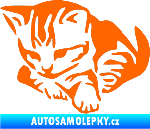 Samolepka Koťátko 003 levá Fluorescentní oranžová