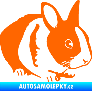 Samolepka Králík 002 pravá zakrslý králíček Fluorescentní oranžová