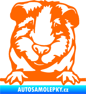 Samolepka Morče 004 levá Fluorescentní oranžová