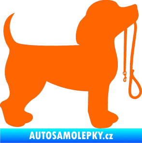 Samolepka Pes 063 pravá štěnátko s vodítkem Fluorescentní oranžová