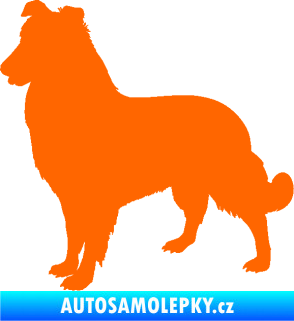 Samolepka Pes 084 levá Kolie Fluorescentní oranžová