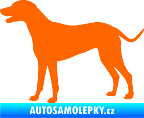Samolepka Pes 095 levá Dalmatin Fluorescentní oranžová