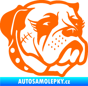 Samolepka Pes 097 pravá Buldok Fluorescentní oranžová