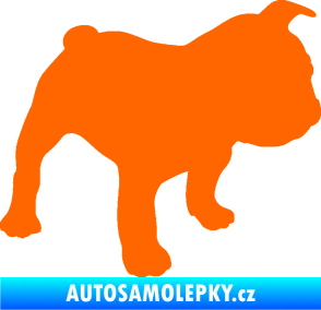 Samolepka Pes 108 pravá Francouzský buldoček Fluorescentní oranžová
