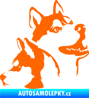 Samolepka Pes 117 pravá husky Fluorescentní oranžová