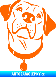 Samolepka Pes 119 pravá Labrador Fluorescentní oranžová