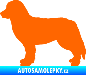 Samolepka Pes 157 levá bernský salašnický Fluorescentní oranžová